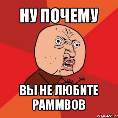 ну почему вы не любите раммвов, Мем Почему