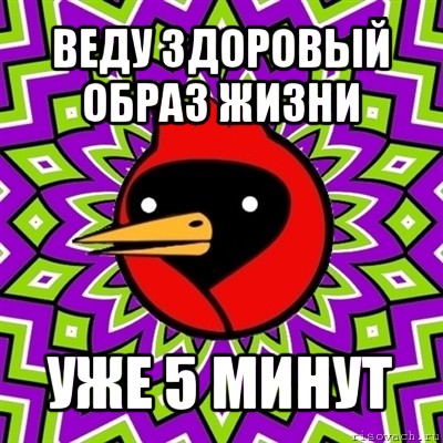 веду здоровый образ жизни уже 5 минут