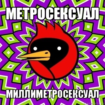 метросексуал миллиметросексуал