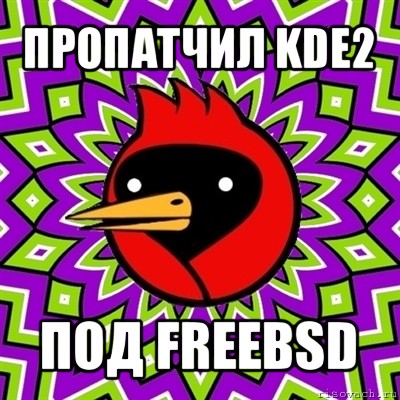 пропатчил kde2 под freebsd, Мем Омская птица