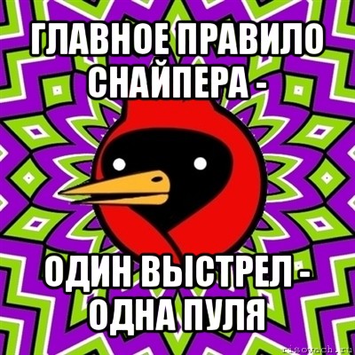 главное правило снайпера - один выстрел - одна пуля, Мем Омская птица