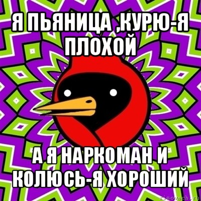 я пьяница ,курю-я плохой а я наркоман и колюсь-я хороший, Мем Омская птица