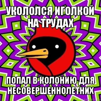 укололся иголкой на трудах попал в колонию для несовершеннолетних, Мем Омская птица