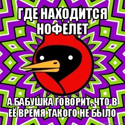 где находится нофелет а бабушка говорит, что в её время такого не было, Мем Омская птица