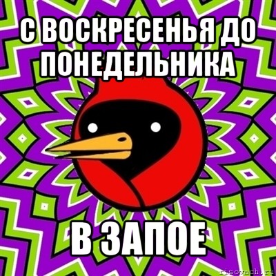 с воскресенья до понедельника в запое, Мем Омская птица