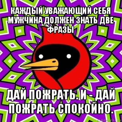 каждый уважающий себя мужчина должен знать две фразы дай пожрать. и - дай пожрать спокойно., Мем Омская птица