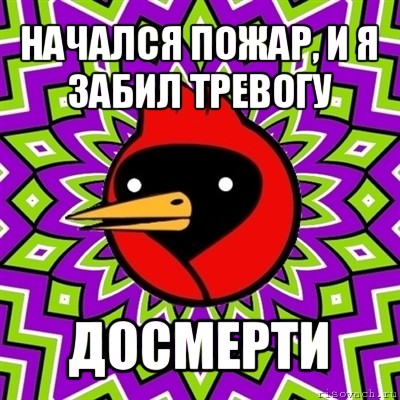 начался пожар, и я
забил тревогу досмерти, Мем Омская птица