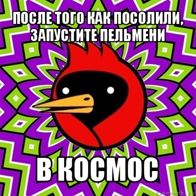 после того как посолили, запустите пельмени в космос, Мем Омская птица