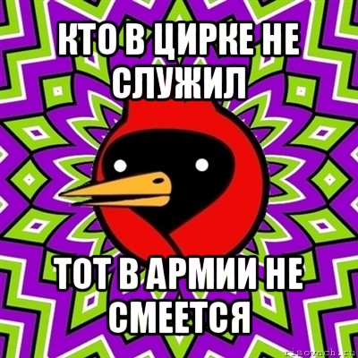 кто в цирке не служил тот в армии не смеется, Мем Омская птица