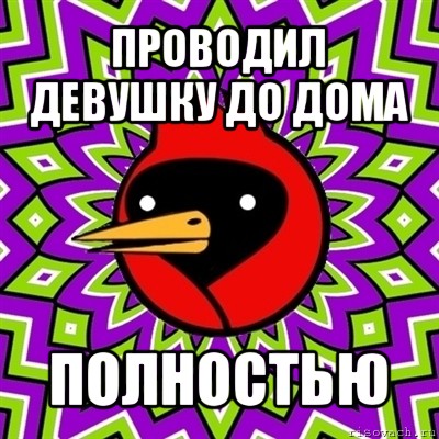 проводил девушку до дома полностью, Мем Омская птица