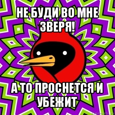 не буди во мне зверя! а то проснется и убежит, Мем Омская птица