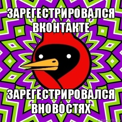 зарегестрировался вконтакте зарегестрировался вновостях, Мем Омская птица