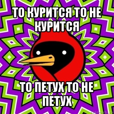 то курится то не курится то петух то не петух, Мем Омская птица