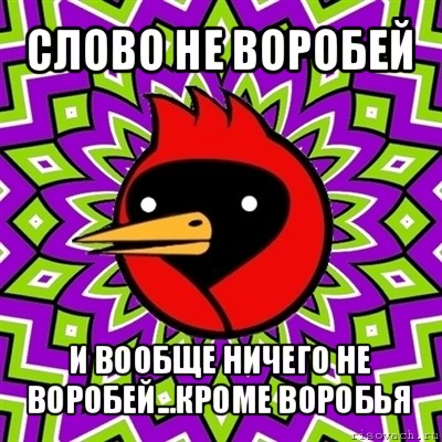 слово не воробей и вообще ничего не воробей...кроме воробья, Мем Омская птица