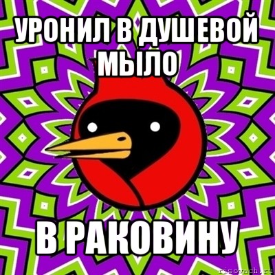 уронил в душевой мыло в раковину, Мем Омская птица