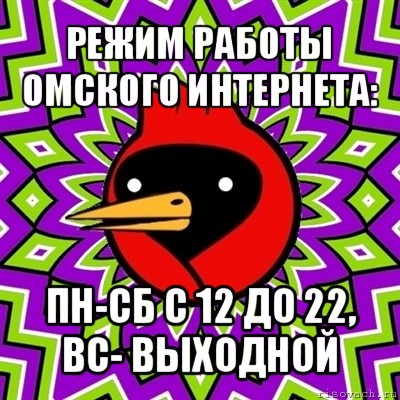 режим работы омского интернета: пн-сб с 12 до 22, вс- выходной, Мем Омская птица