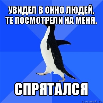 увидел в окно людей, те посмотрели на меня. спрятался, Мем  Социально-неуклюжий пингвин