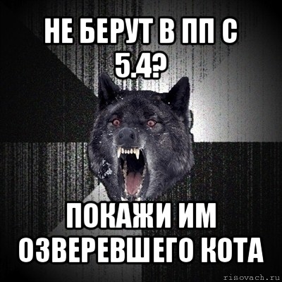 не берут в пп с 5.4? покажи им озверевшего кота, Мем Сумасшедший волк