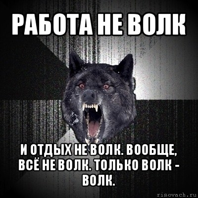 работа не волк и отдых не волк. вообще, всё не волк. только волк - волк., Мем Сумасшедший волк