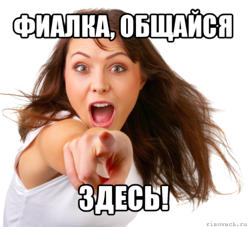 фиалка, общайся здесь!