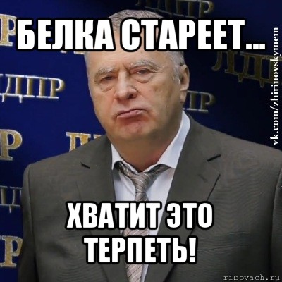 белка стареет... хватит это терпеть!, Мем Хватит это терпеть (Жириновский)