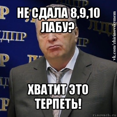 не сдала 8,9,10 лабу? хватит это терпеть!, Мем Хватит это терпеть (Жириновский)