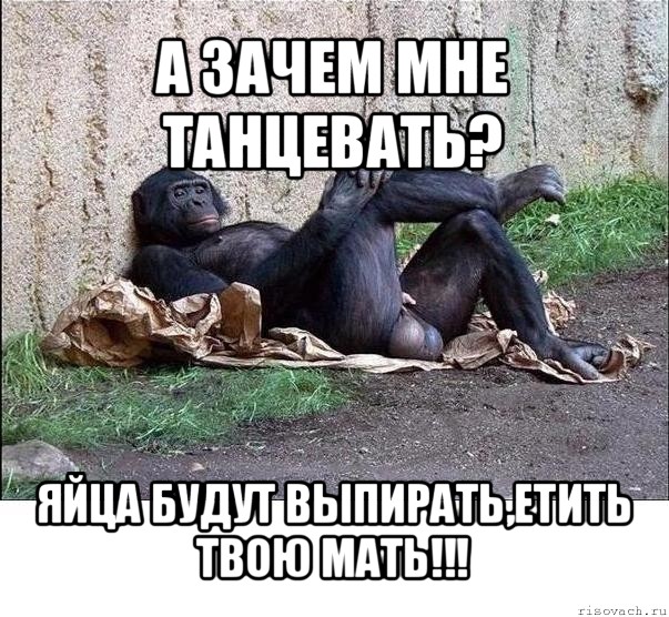 а зачем мне танцевать? яйца будут выпирать,етить твою мать!!!