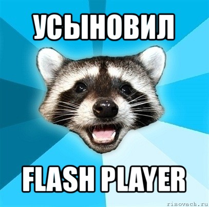 усыновил flash player, Мем Енот-Каламбурист