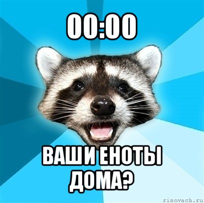 00:00 ваши еноты дома?