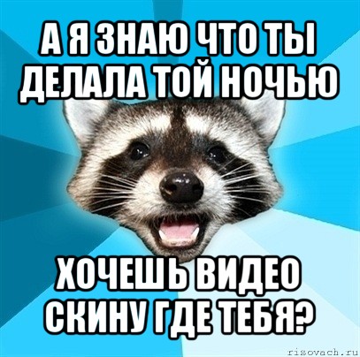 а я знаю что ты делала той ночью хочешь видео скину где тебя?, Мем Енот-Каламбурист