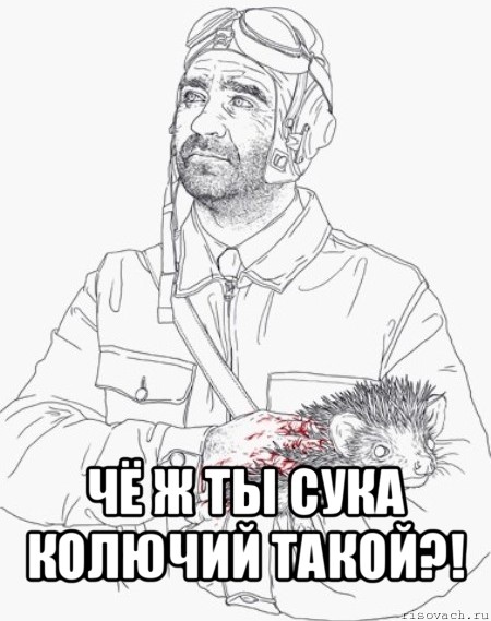  чё ж ты сука колючий такой?!, Мем герой