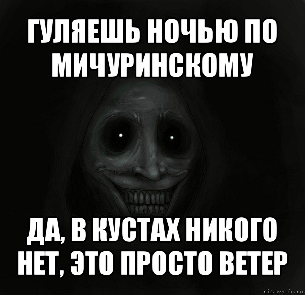 гуляешь ночью по мичуринскому да, в кустах никого нет, это просто ветер, Мем Ночной гость