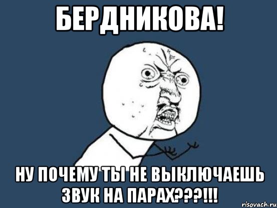 бердникова! ну почему ты не выключаешь звук на парах???!!!, Мем Ну почему