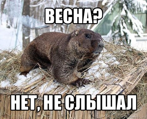 весна? нет, не слышал