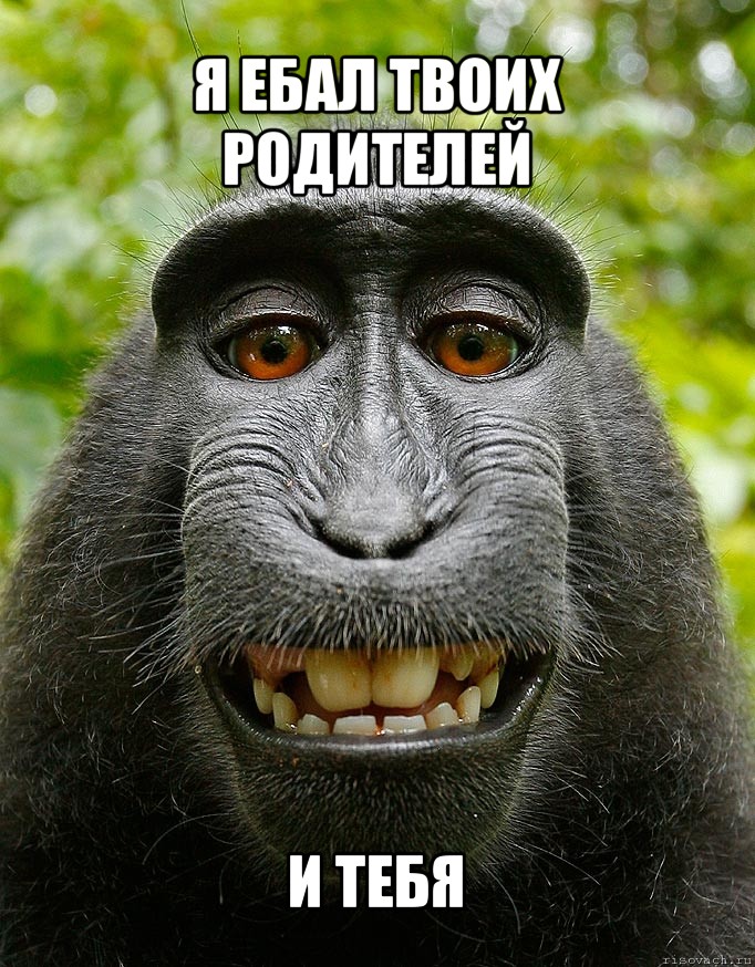 я ебал твоих родителей и тебя