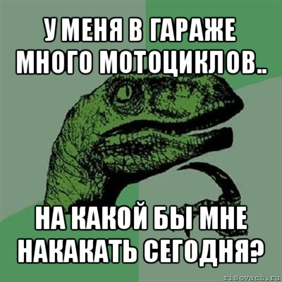 у меня в гараже много мотоциклов.. на какой бы мне накакать сегодня?, Мем Филосораптор