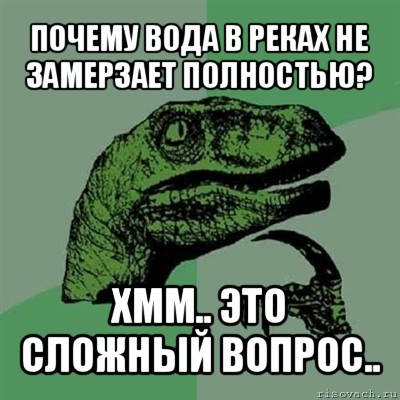 почему вода в реках не замерзает полностью? хмм.. это сложный вопрос.., Мем Филосораптор