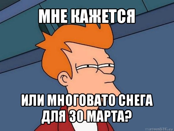 мне кажется или многовато снега для 30 марта?, Мем  Фрай (мне кажется или)