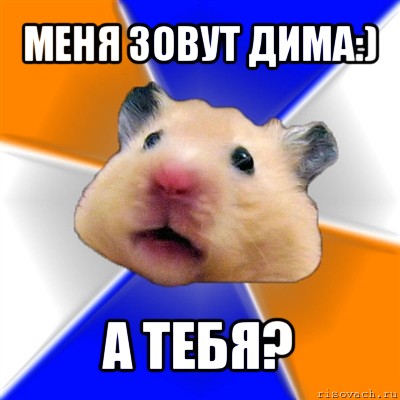 меня зовут дима:) а тебя?, Мем Хомяк