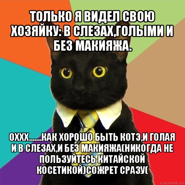 только я видел свою хозяйку: в слезах,голыми и без макияжа. оххх.......как хорошо быть котэ,и голая и в слезах,и без макияжа(никогда не пользуйтесь китайской косетикой)сожрет сразу(, Мем  Кошечка