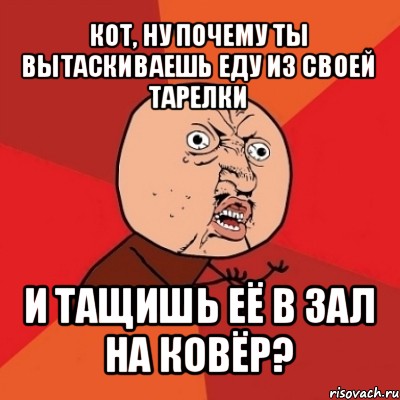 кот, ну почему ты вытаскиваешь еду из своей тарелки и тащишь её в зал на ковёр?, Мем Почему