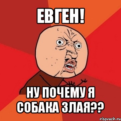 евген! ну почему я собака злая??