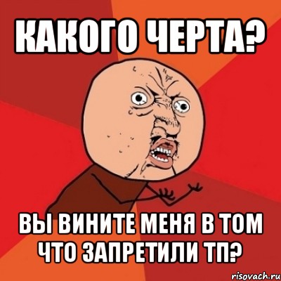 какого черта? вы вините меня в том что запретили тп?, Мем Почему