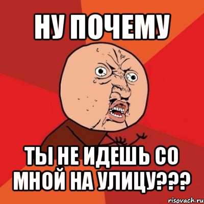 ну почему ты не идешь со мной на улицу???, Мем Почему