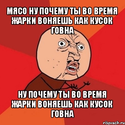 мясо ну почему ты во время жарки воняешь как кусок говна ну почему ты во время жарки воняешь как кусок говна