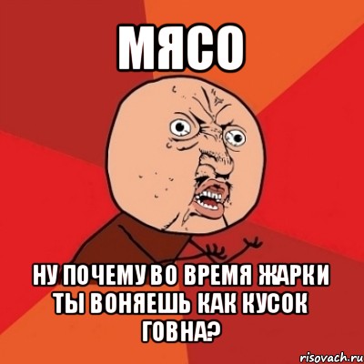 мясо ну почему во время жарки ты воняешь как кусок говна?, Мем Почему