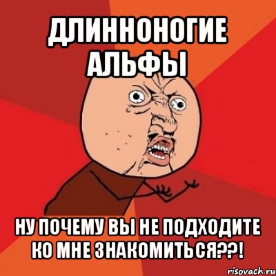 длинноногие альфы ну почему вы не подходите ко мне знакомиться??!, Мем Почему