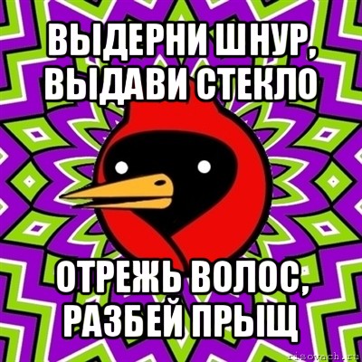 выдерни шнур, выдави стекло отрежь волос, разбей прыщ, Мем Омская птица