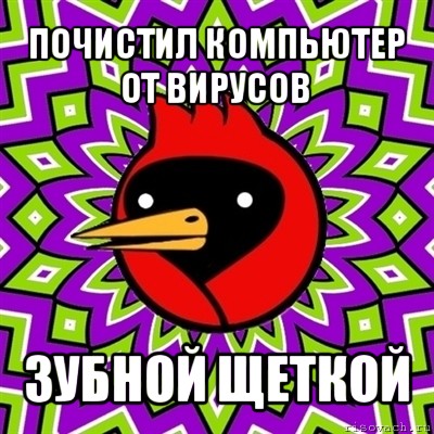 почистил компьютер от вирусов зубной щеткой, Мем Омская птица