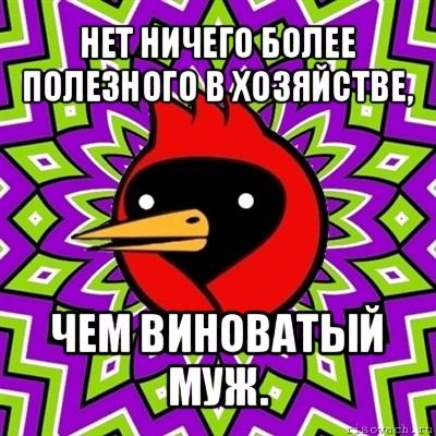 нет ничего более полезного в хозяйстве, чем виноватый муж., Мем Омская птица